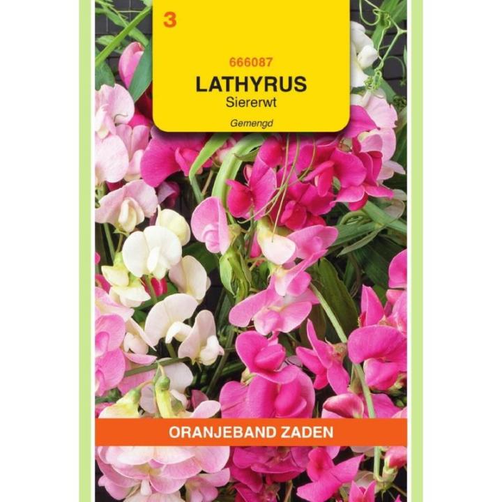 Oranjeband Lathyrus, Reuk- of Siererwt gemengd, overblijvend