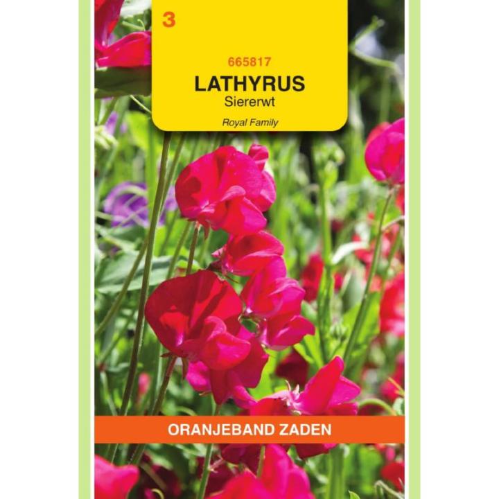 Oranjeband Lathyrus, Reuk- of siererwt Royal, rood
