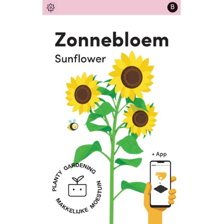 Makkelijke Moestuin Helianthus, Zonnebloem Henri Wilde
