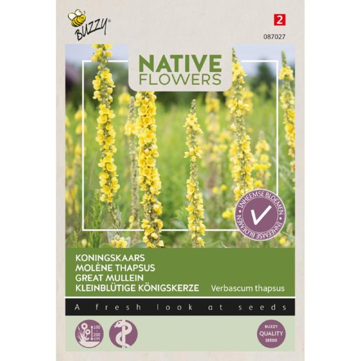 Buzzy® Native Flowers, Koningskaars