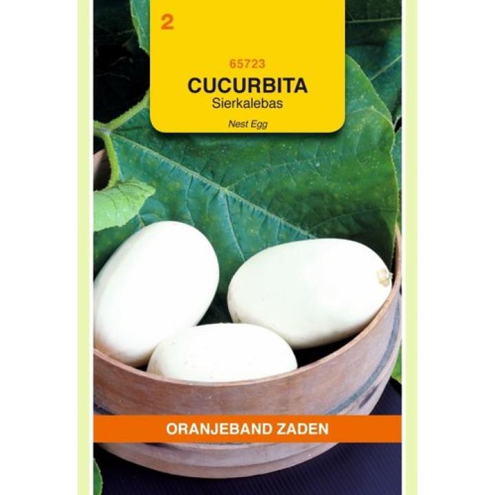 Oranjeband Cucurbita Sierkalebas Nest Egg
