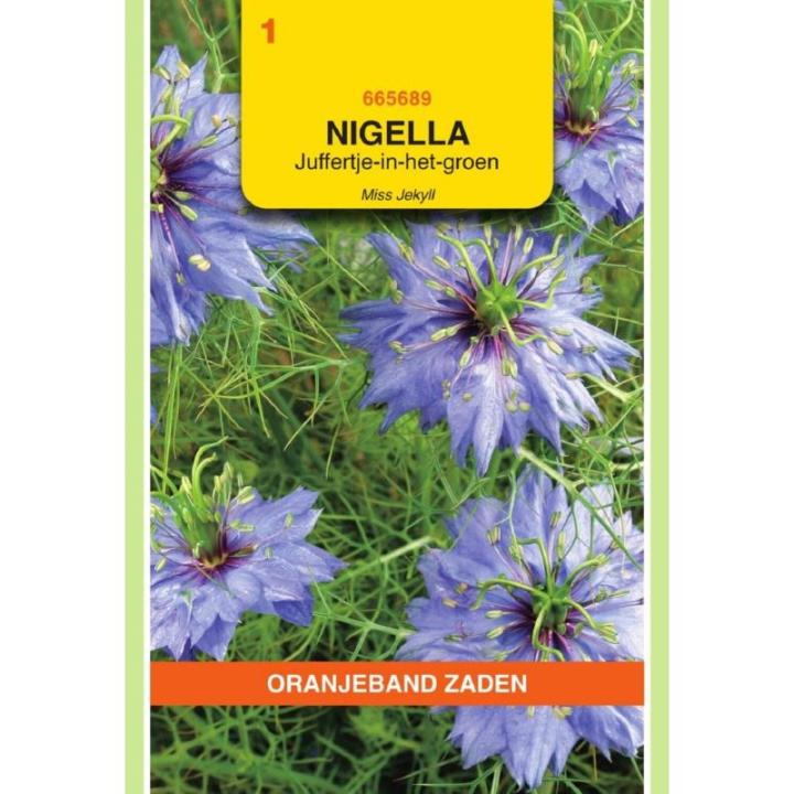 Oranjeband Nigella, Juffertje-in-het-groen Miss Jekyll