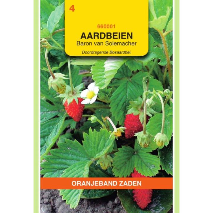 Oranjeband Aardbeien Baron von Solemacher