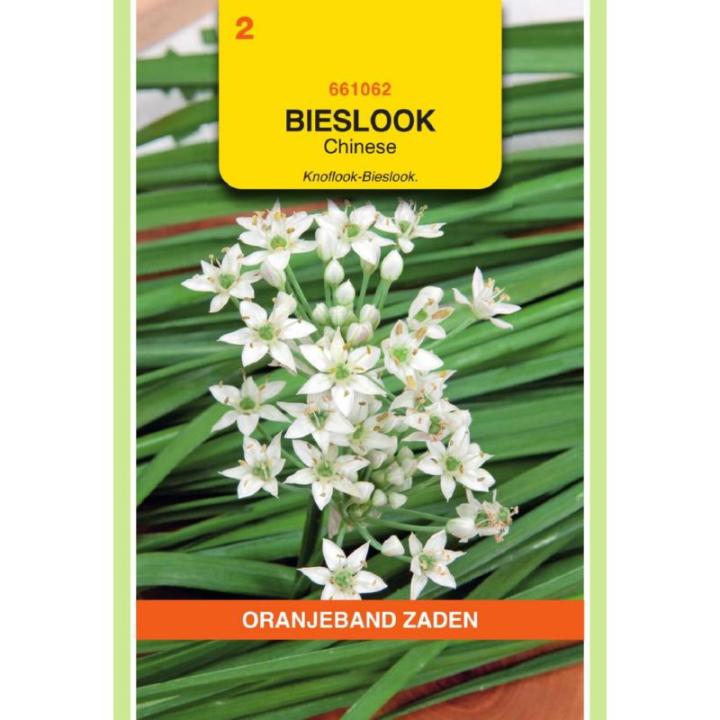 Oranjeband Bieslook Chinese