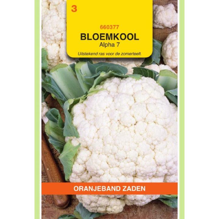 Oranjeband Bloemkool Alpha 7