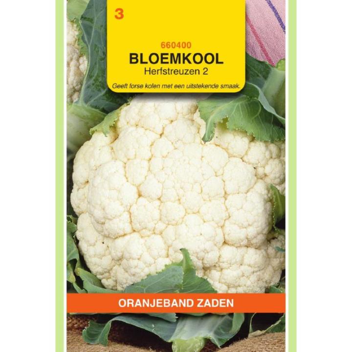 Oranjeband Bloemkool Herfstreuzen 2