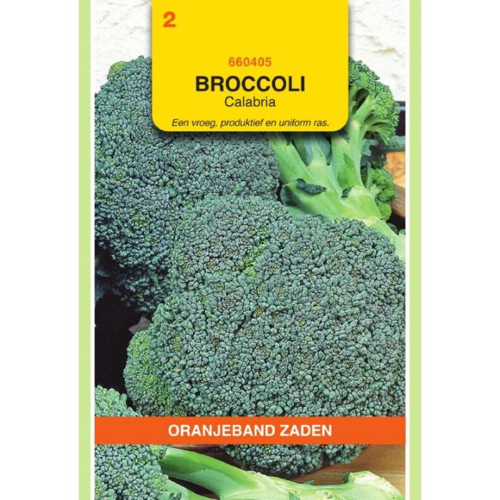 Oranjeband Broccoli Calabria