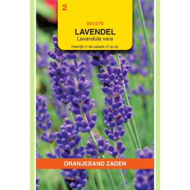 Oranjeband Lavendel