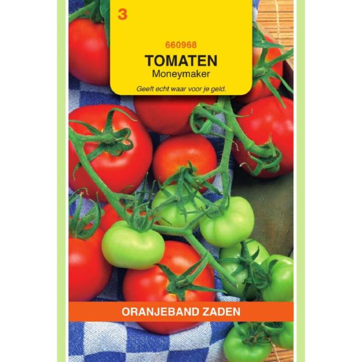 Oranjeband Tomaten Moneymaker