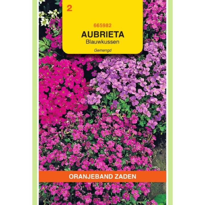 Oranjeband Aubrietia Blauwkussen gemengd