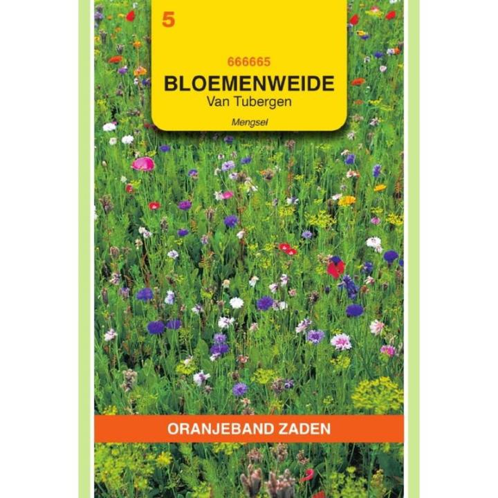 Oranjeband Van Tubergen bloemenweide mengsel