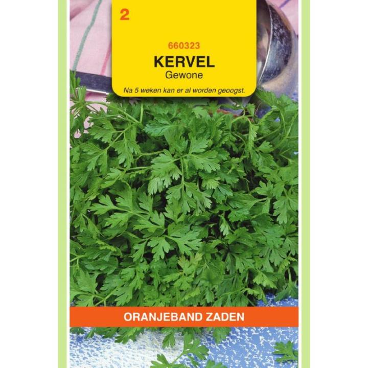 Oranjeband Kervel Gewone