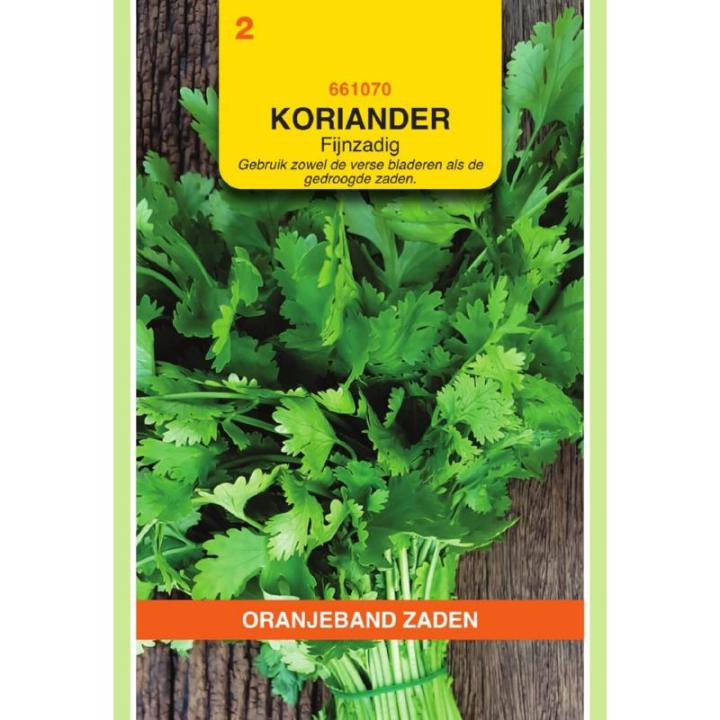 Oranjeband Koriander
