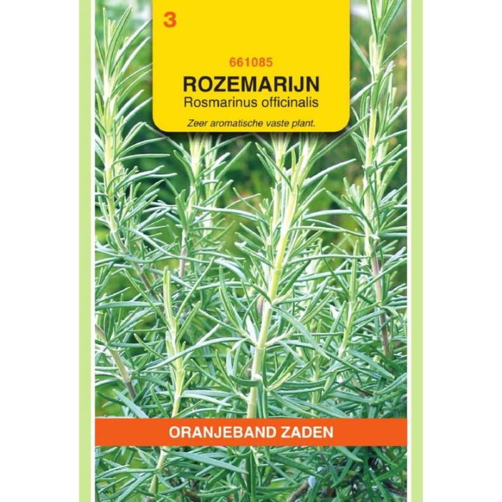 Oranjeband Rozemarijn
