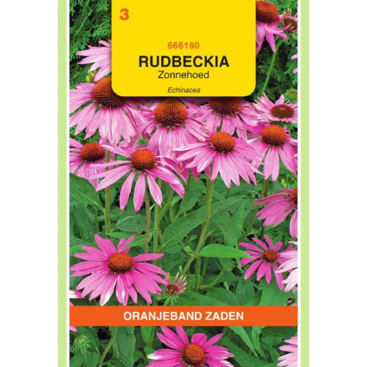 Oranjeband Rudbeckia Zonnehoed Echinacea