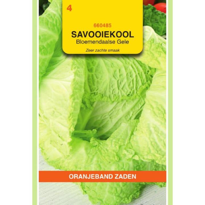 Oranjeband Savooiekool Bloemendaalse Gele