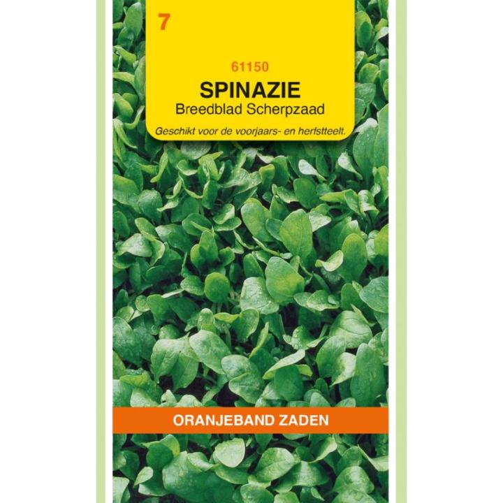 Oranjeband Spinazie Breedblad Scherpzaad 250g