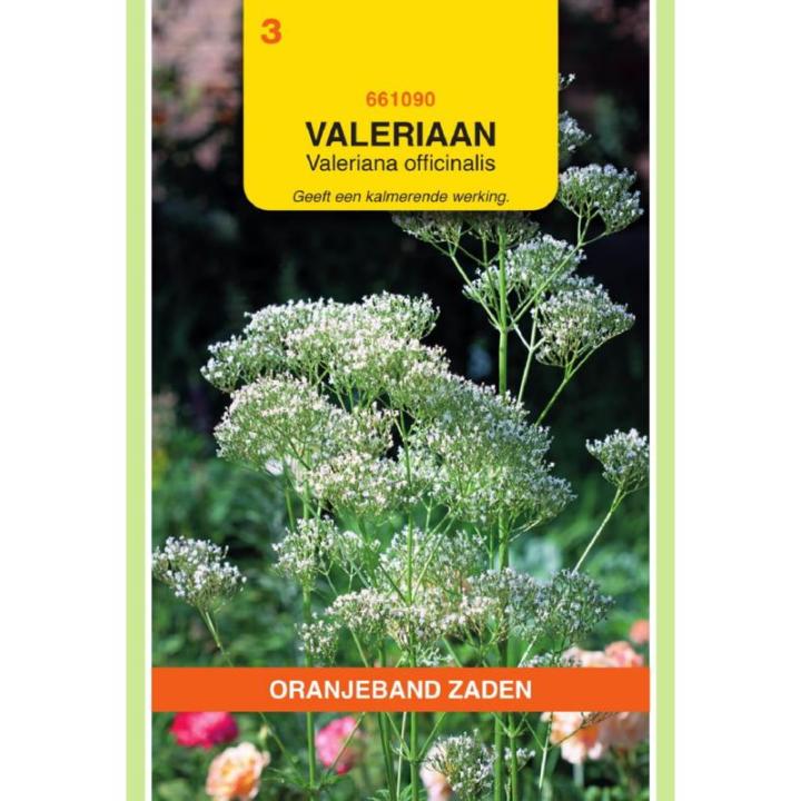 Oranjeband Valeriaan