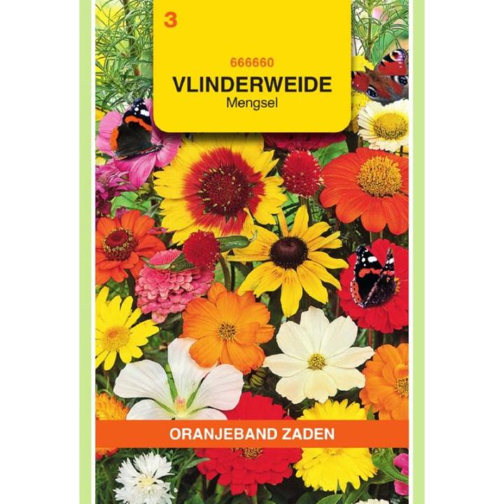 Oranjeband Vlinderweide mengsel