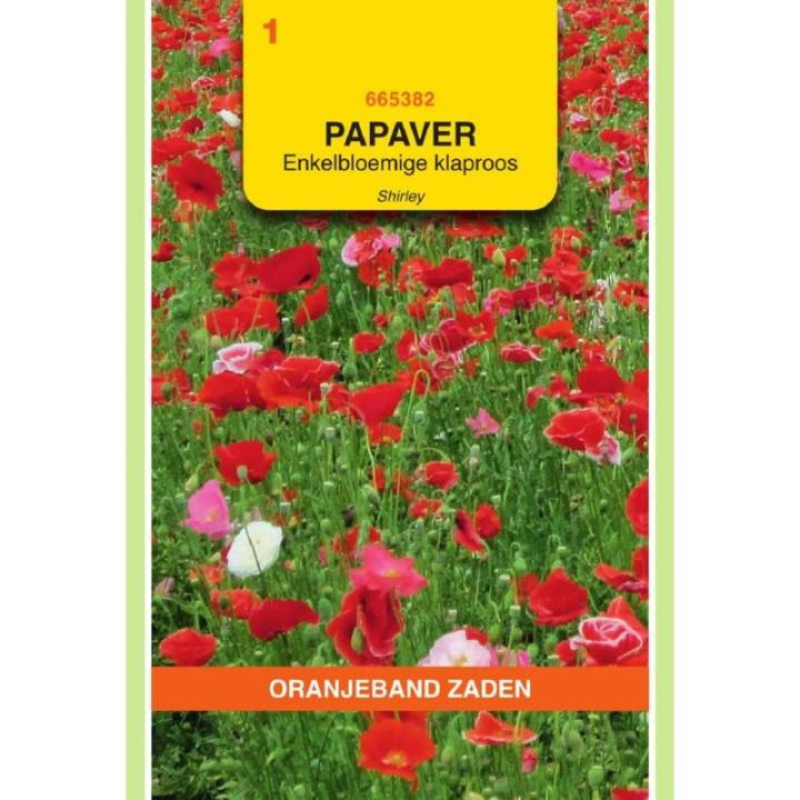 Oranjeband Papaver, Klaproos enkelbloemig Shirley