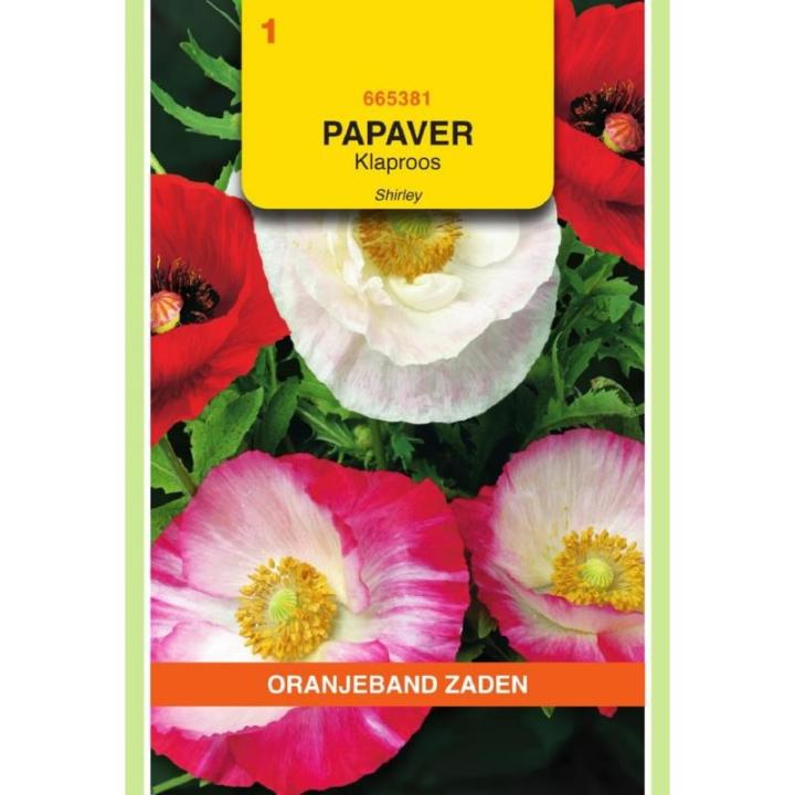Oranjeband Papaver, Klaproos Shirley