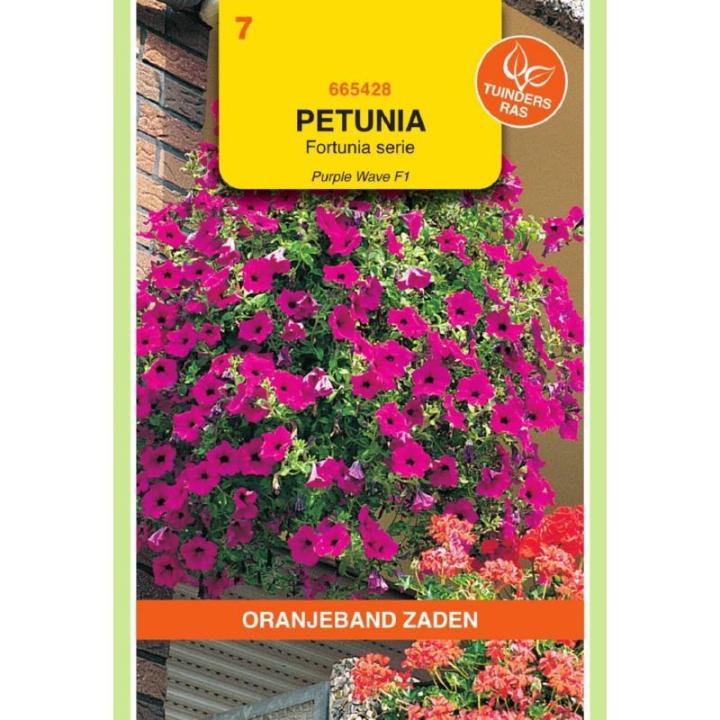 Oranjeband Petunia Purple Wave F1, Fortunia serie