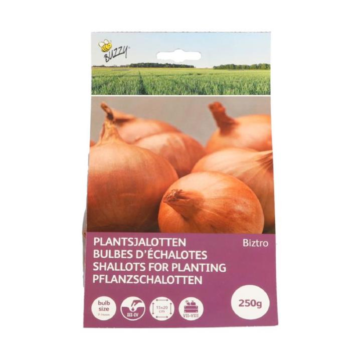Plantsjalotten Biztro met capper 250g