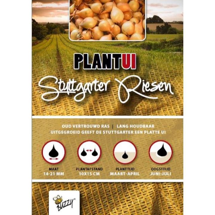 Plantuien Stuttgarter Riesen 100 gram