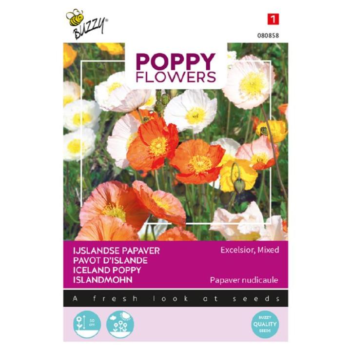Buzzy® Poppy Flowers IJslandse papaver