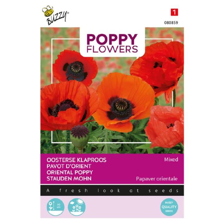 Buzzy® Poppy Flowers, Klaproos gemengd