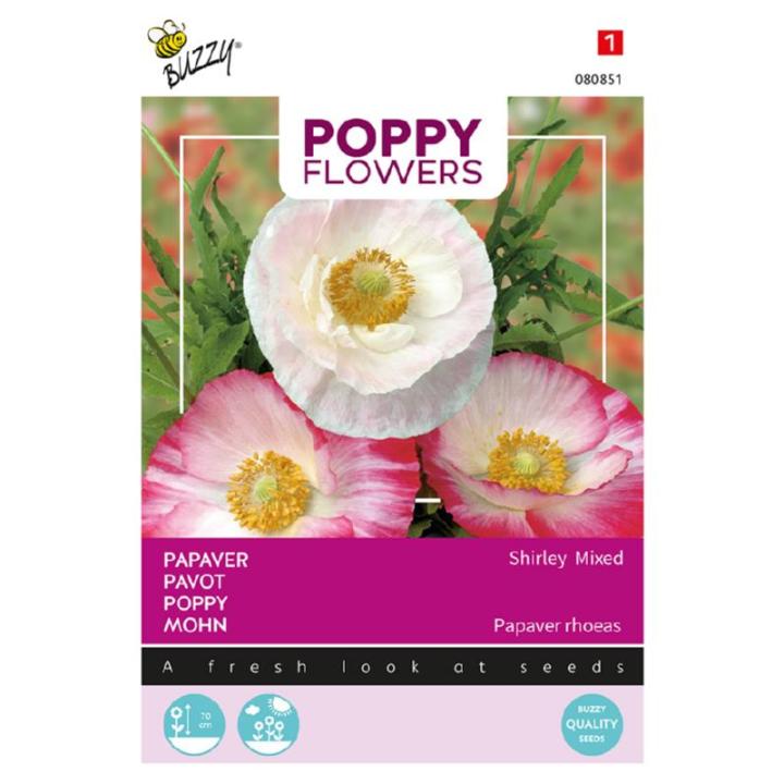 Buzzy® Poppy Flowers, Papaver Shirley, gemengd