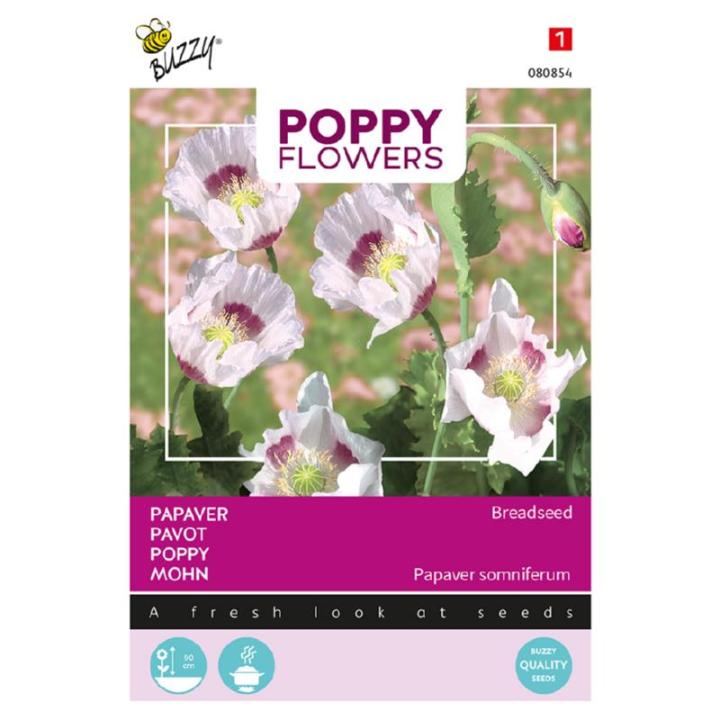 Buzzy® Poppy Flowers, Papaver Blauw maanzaad