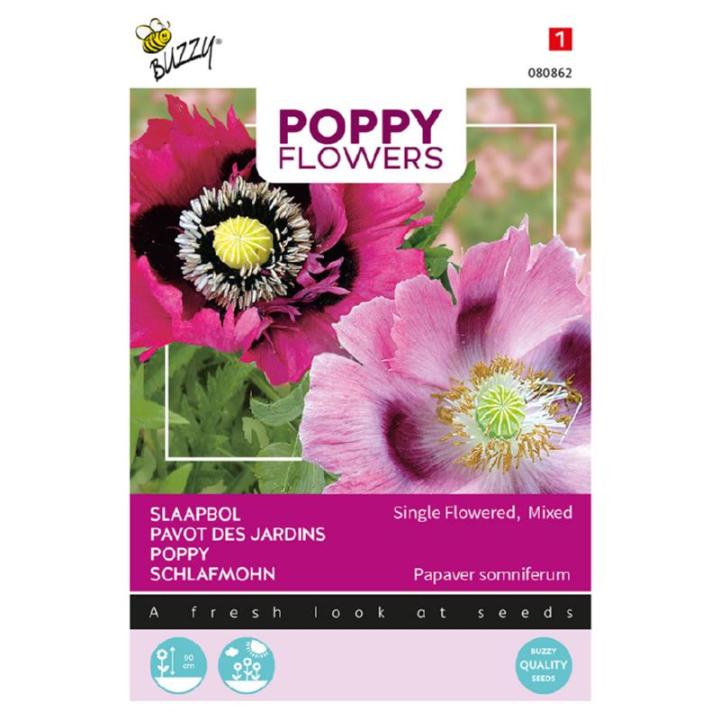 Buzzy® Poppy Flowers, Papaver slaapbol, enkelbloemig, gemengd
