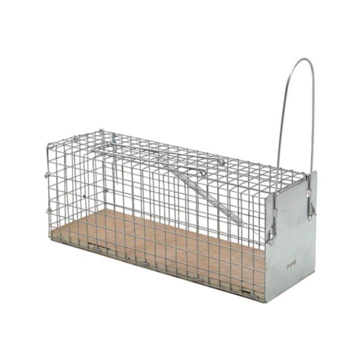 Protect Home Vangkooi ratten