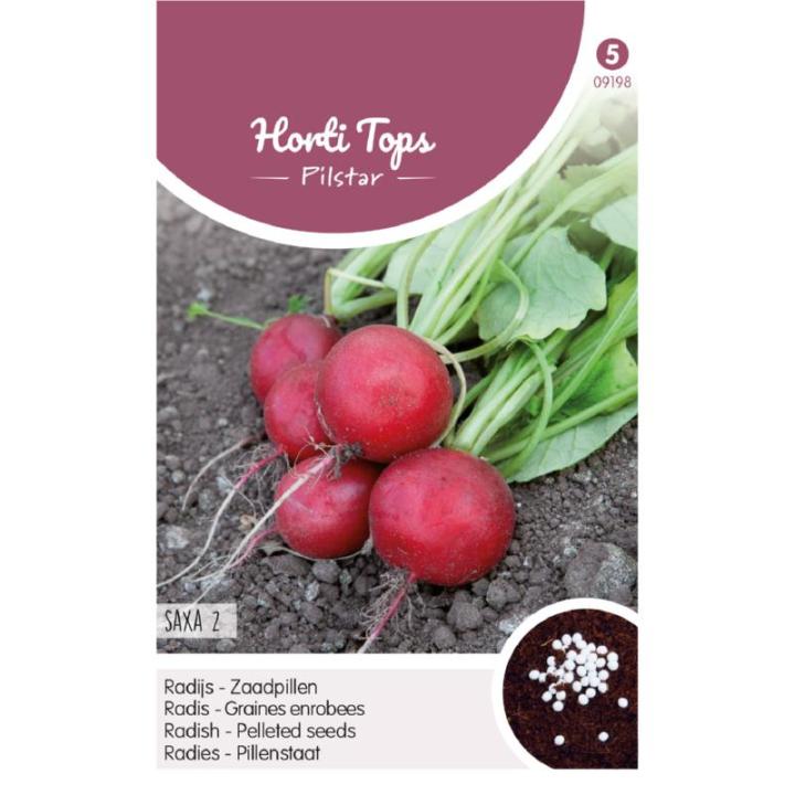 Horti Tops Pilstar Radijs Saxa 2 