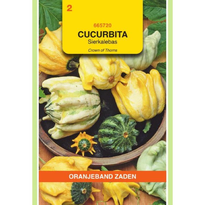 Oranjeband Cucurbita, Sierkalebas Crowns Of Thorns gemengd