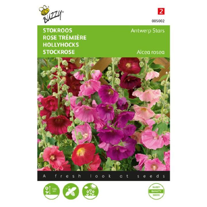 Buzzy® Althaea (Alcea), Stokroos Antwerp Stars mix