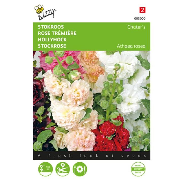 Buzzy® Althaea (Alcea), Stokroos Chater’s dubbelbloemig
