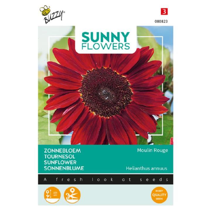 Buzzy® Sunny Flowers, Zonnebloem Moulin Rouge