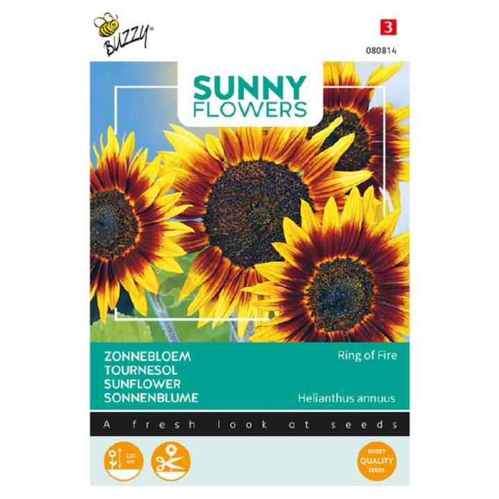 Buzzy® Sunny Flowers, Zonnebloem Ring of Fire