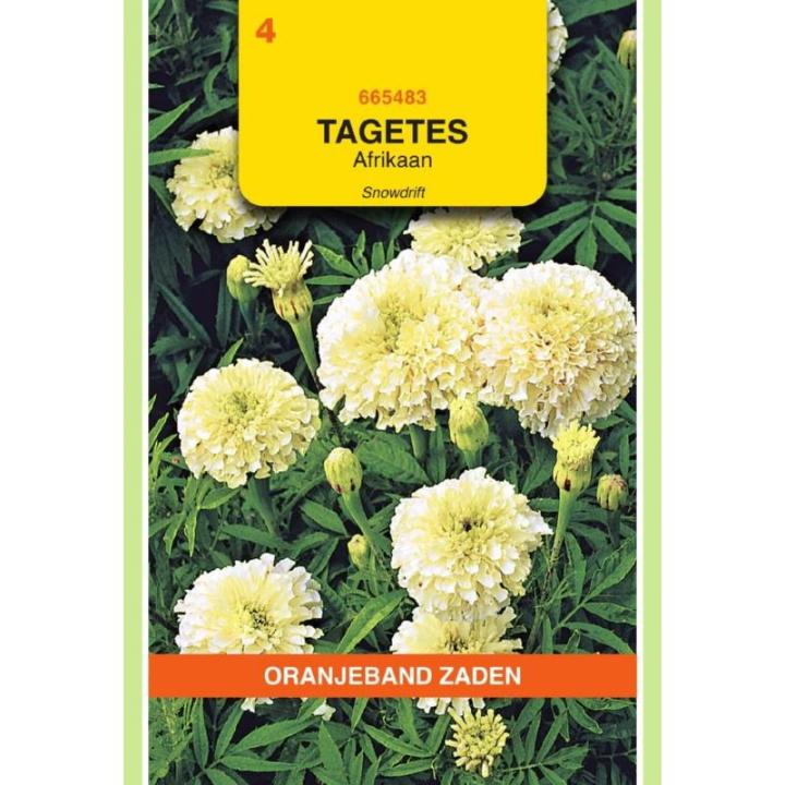 Oranjeband Tagetes, Afrikaan Snowdrift