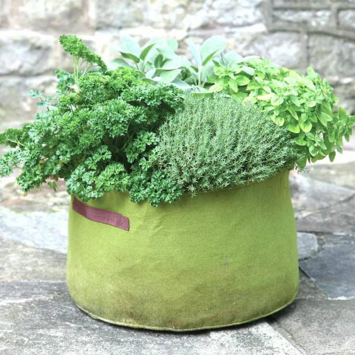Vigoroot Kruiden Plantzak 40 liter