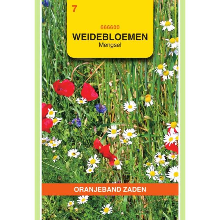 Oranjeband Weidebloemen mengsel - 5 m²