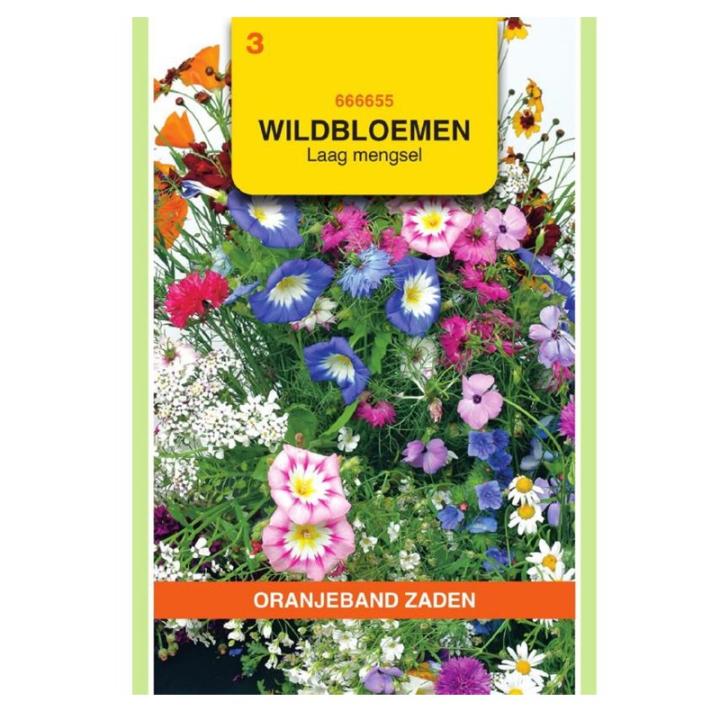 OranjeBand Wildbloemen mengsel eenjarig, laag
