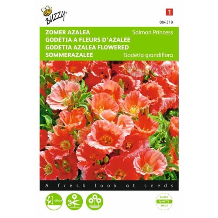 Buzzy® Godetia, Zomer Azalea Salmon Princess