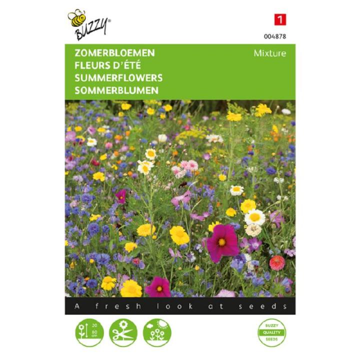 Buzzy® Zomerbloemen gemengd