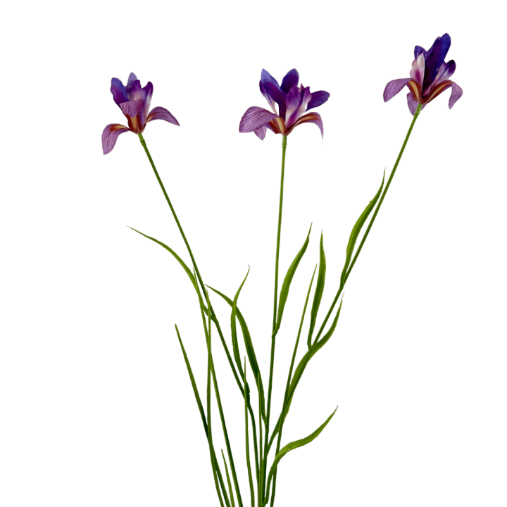 Zijden Bloem Iris - Paars - 71cm - Silka