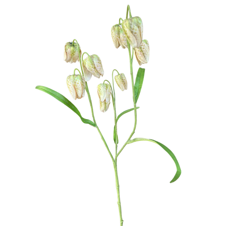 Zijden bloemen Kievietsbloem - Silka