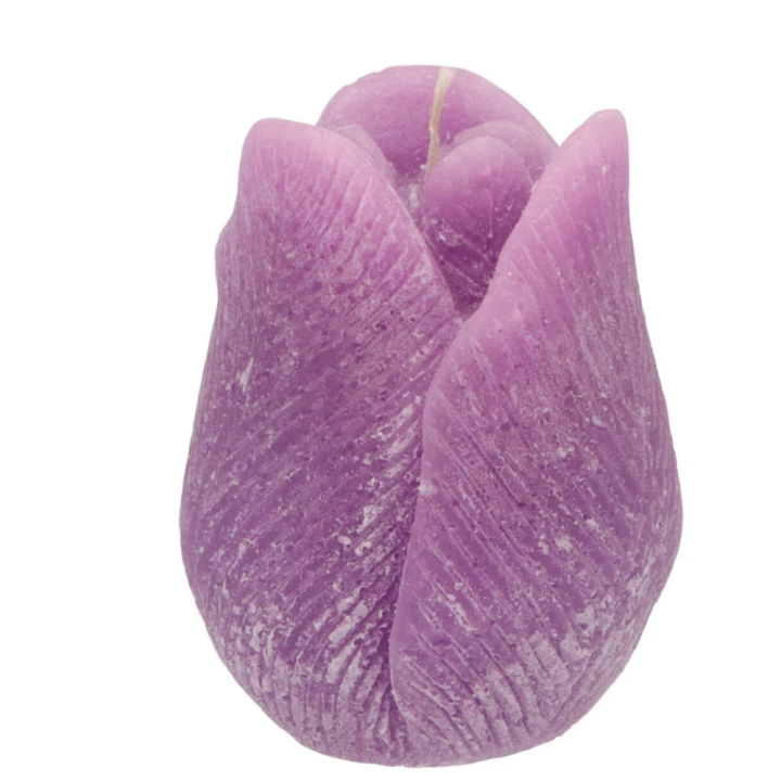 Tulpenkaars -Paars
