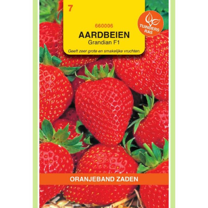 Oranjeband Aardbeien Grandian F1